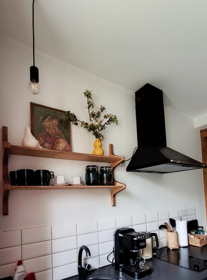 Vintage Anna Apartment Kuldīga Exteriér fotografie